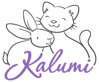 Kalumi